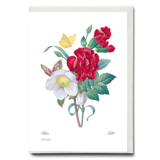 Hellebore and Oeillet By Pierre-Joseph Redouté - Wenskaart