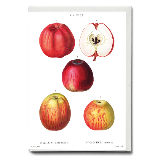 Apples by Pierre-Joseph Redouté - Wenskaart