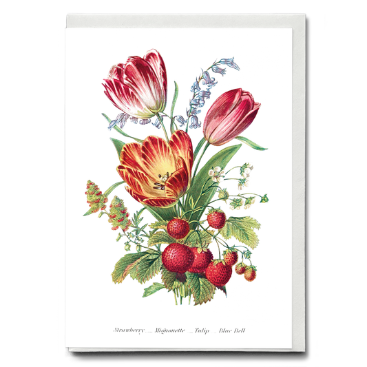 Strawberry, Mignonette, Tulip, and Blue Bell - Wenskaart