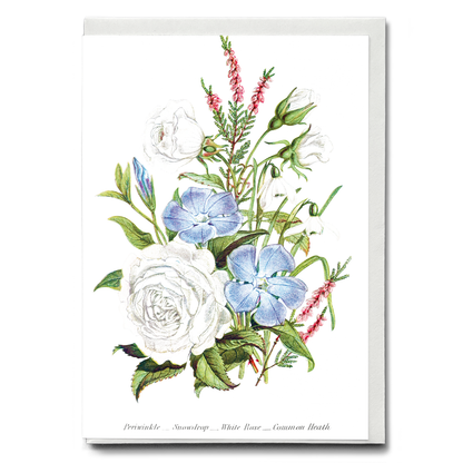 Periwinkle, Snowdrop, White Rose and Common Heath - Wenskaart