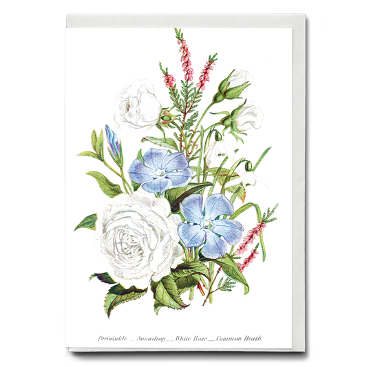 Periwinkle, Snowdrop, White Rose and Common Heath - Wenskaart