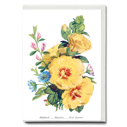 Hollyhock, Hepatica and Rest Harrow  - Wenskaart