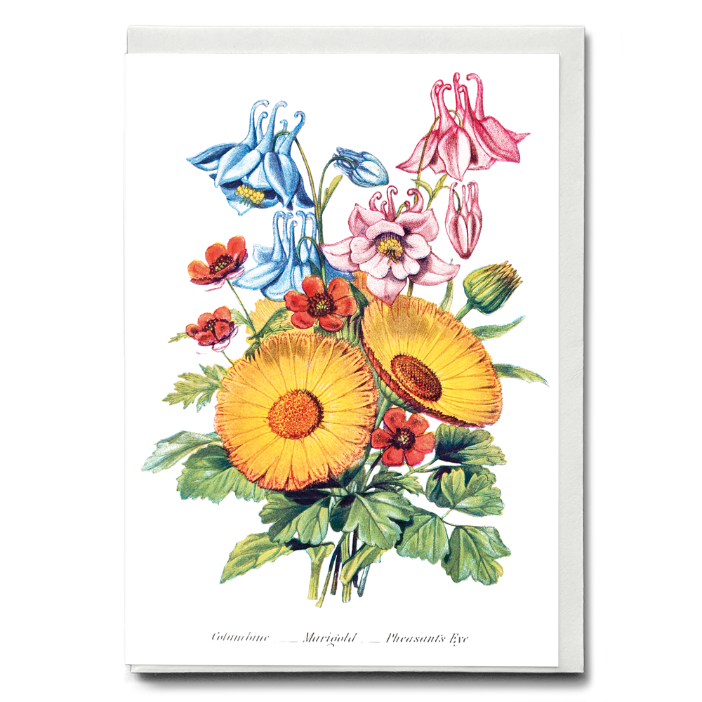 Columbine, Marigold and Pheasant's Eye - Wenskaart