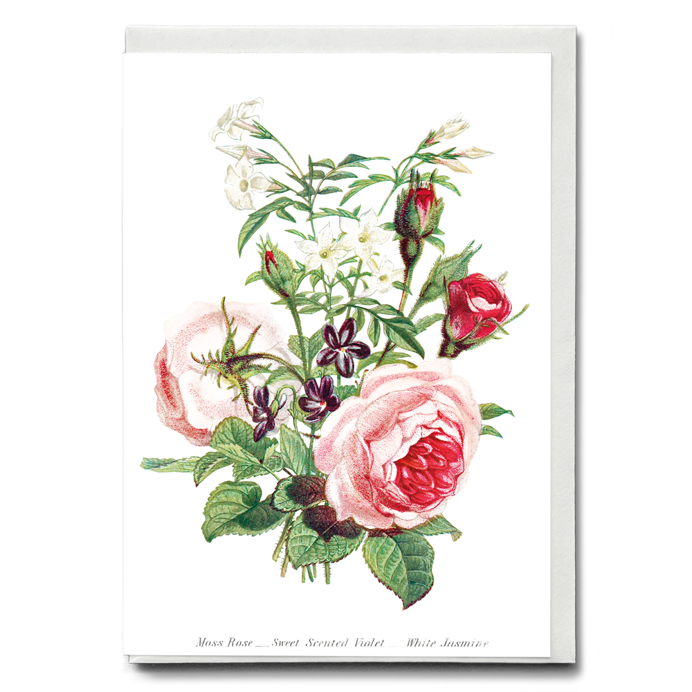 Moss Rose, Sweet Scented Violet and White Jasmine - Wenskaart