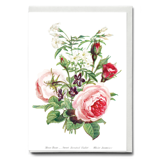 Moss Rose, Sweet Scented Violet and White Jasmine - Wenskaart