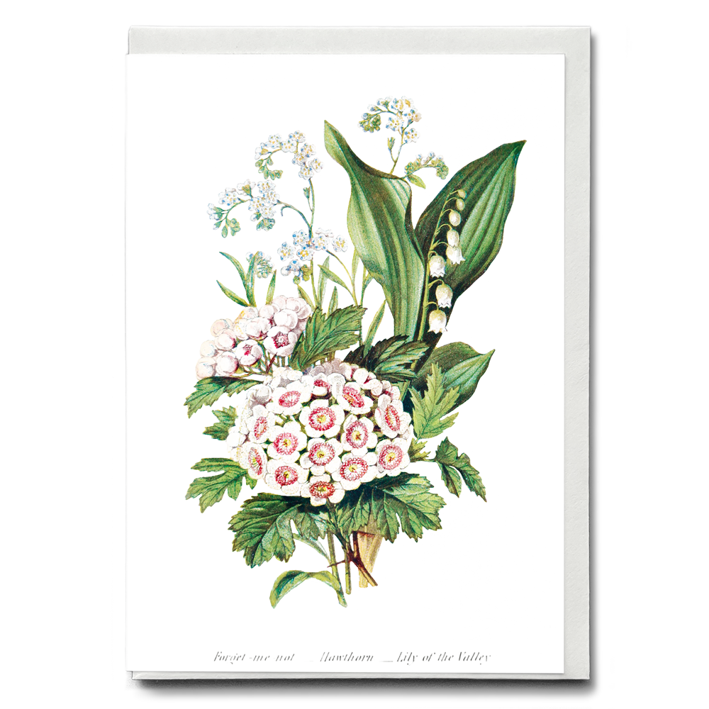 Forget Me Not, Hawthorn and Lily of the Valley - Wenskaart