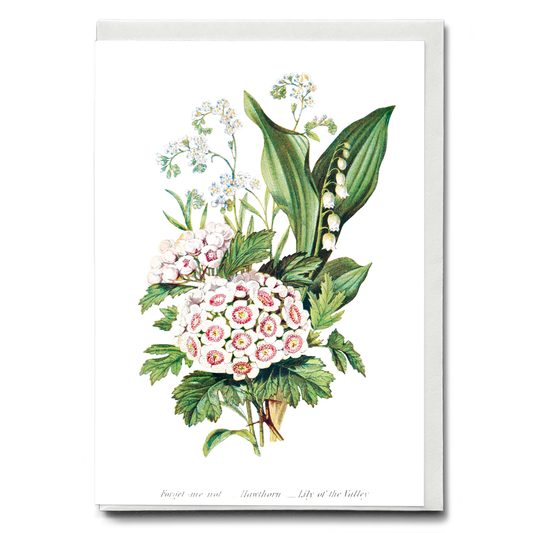 Forget Me Not, Hawthorn and Lily of the Valley - Wenskaart