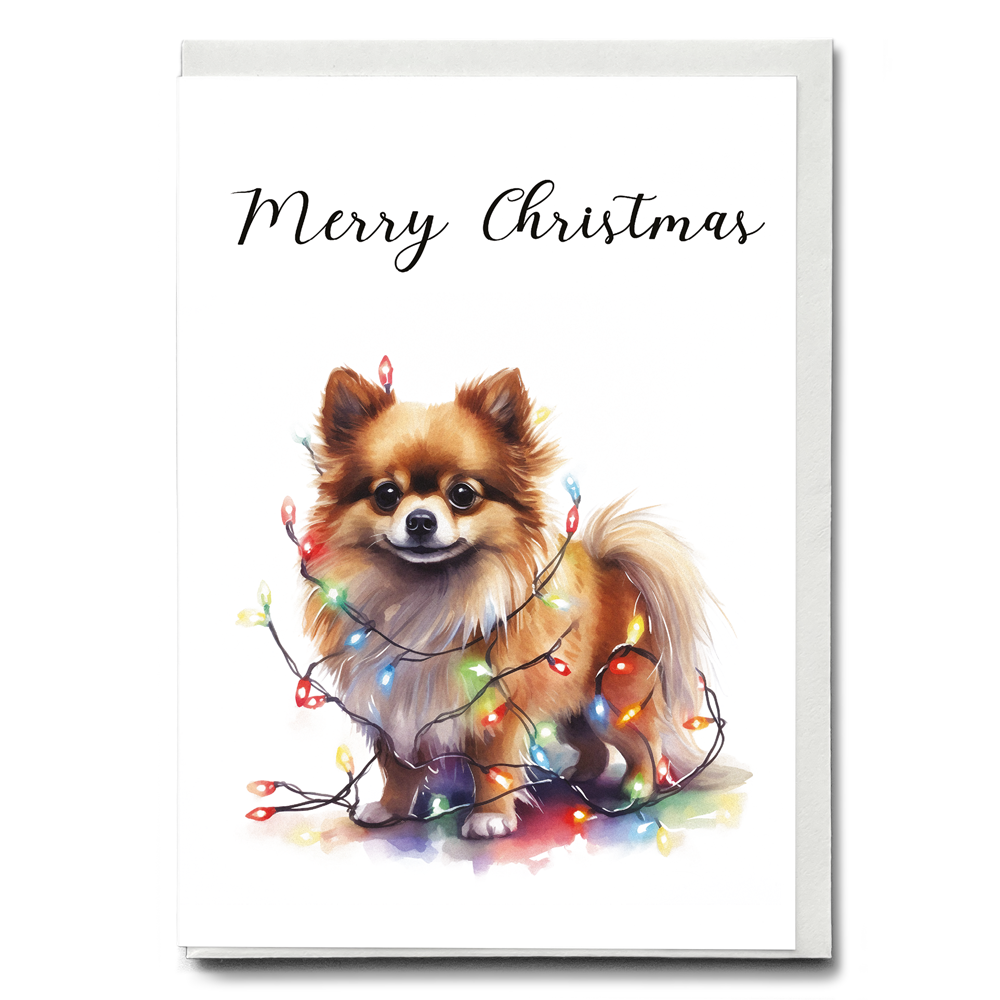 Pomeranian tangled in Christmas light - Greeting Card