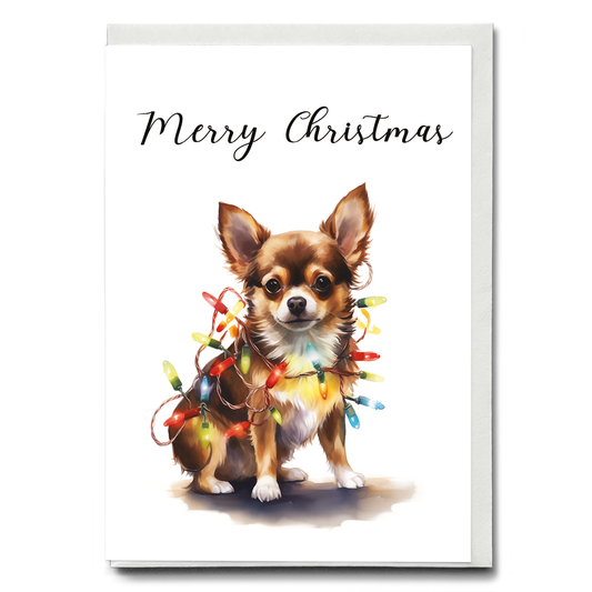 Chihuahua tangled in Christmas light - Greeting Card