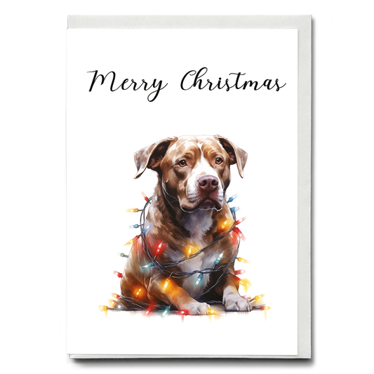 Staffordshire tangled in Christmas light - Greeting Card