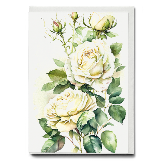 White rose I - Wenskaart