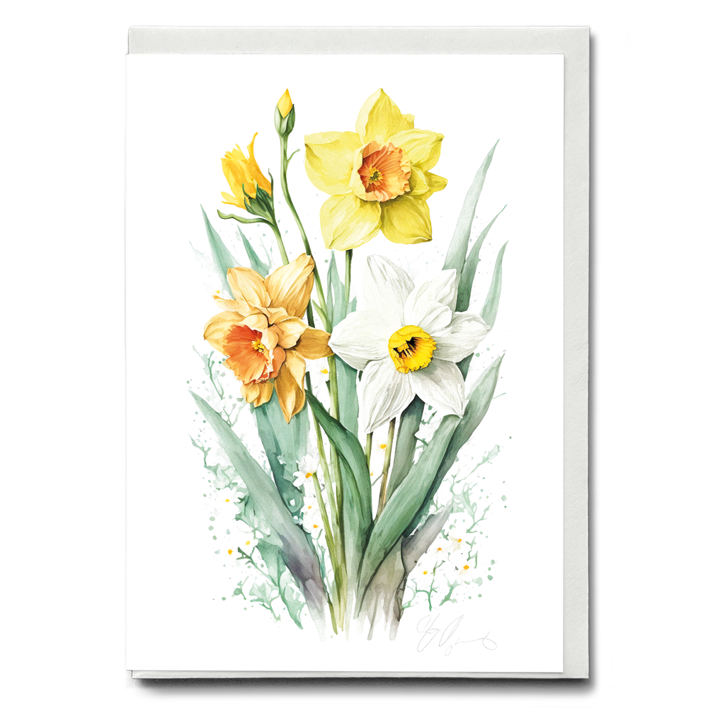 Daffodils I - Wenskaart