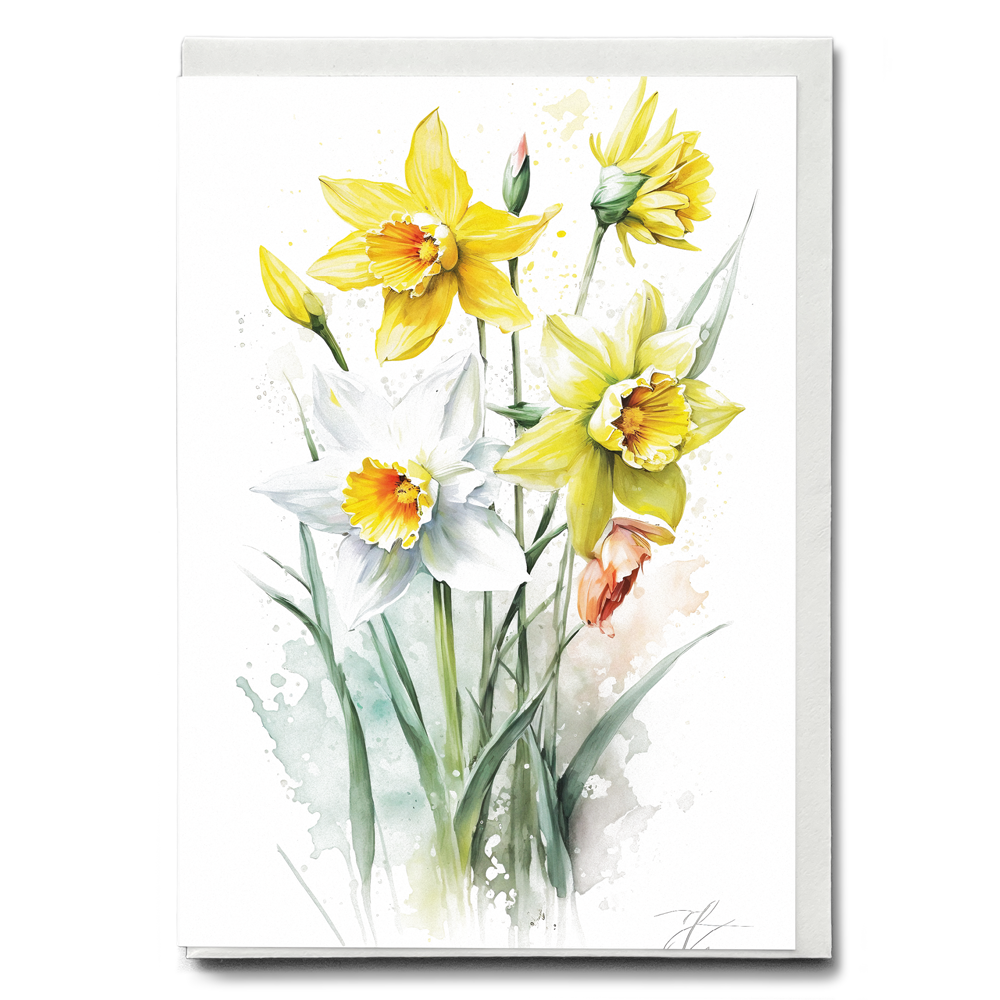 Daffodils IV - Wenskaart
