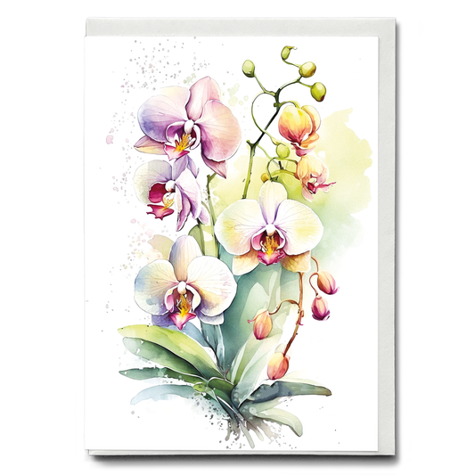 Orchids II - Wenskaart