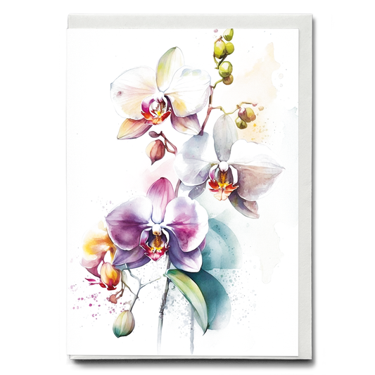 Orchids III - Wenskaart