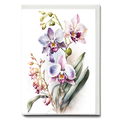 Orchids IV - Wenskaart