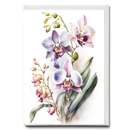 Orchids IV - Wenskaart