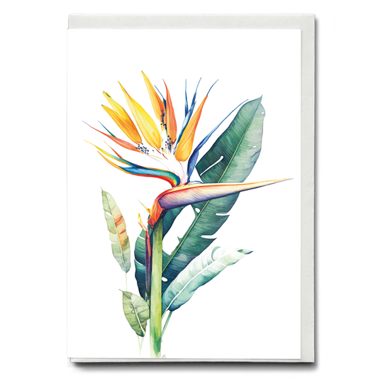 Strelitzia I - Wenskaart