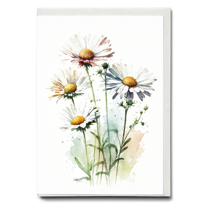 Daisies IV - Wenskaart