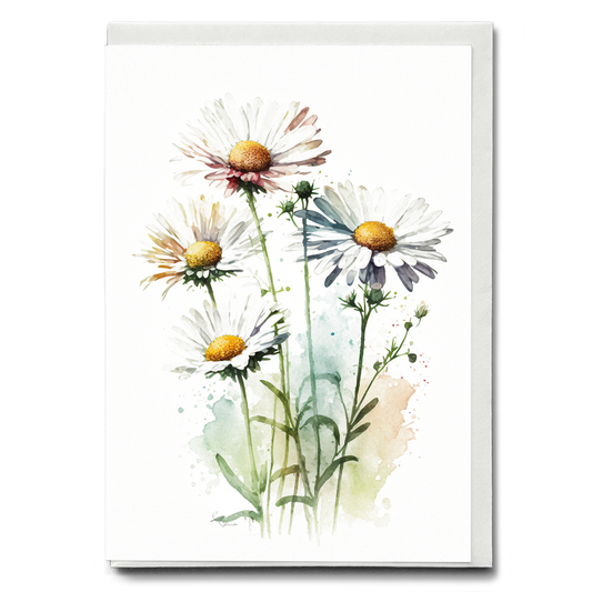 Daisies IV - Wenskaart