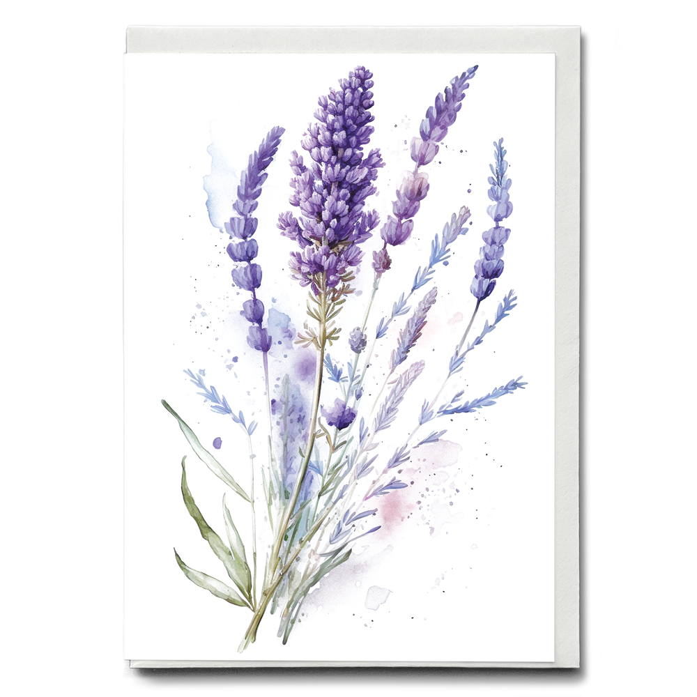 Lavender 2 - Wenskaart