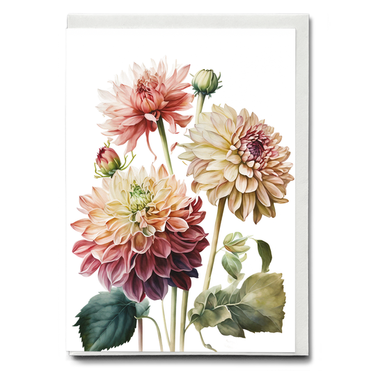 Dahlia's 4 - Wenskaart