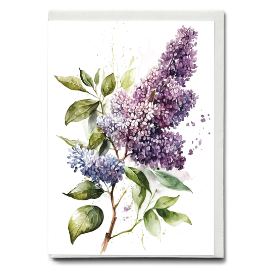 Lilacs 1 - Wenskaart
