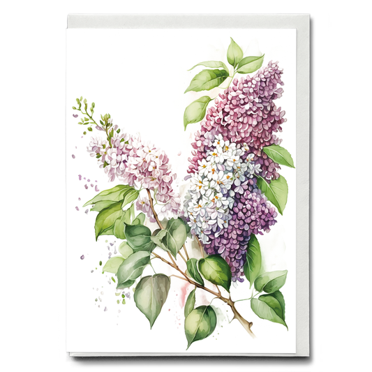 Lilacs 2 - Wenskaart