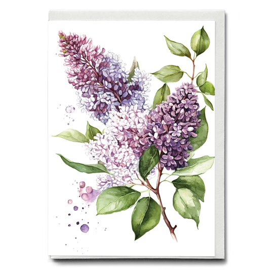 Lilacs 3 - Wenskaart