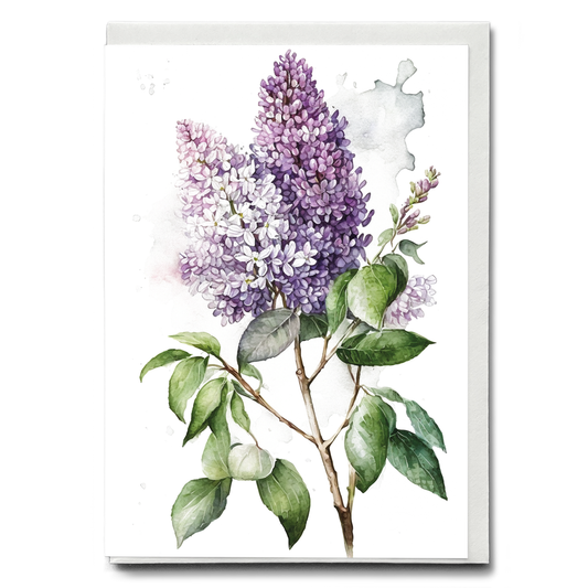 Lilacs 4 - Wenskaart