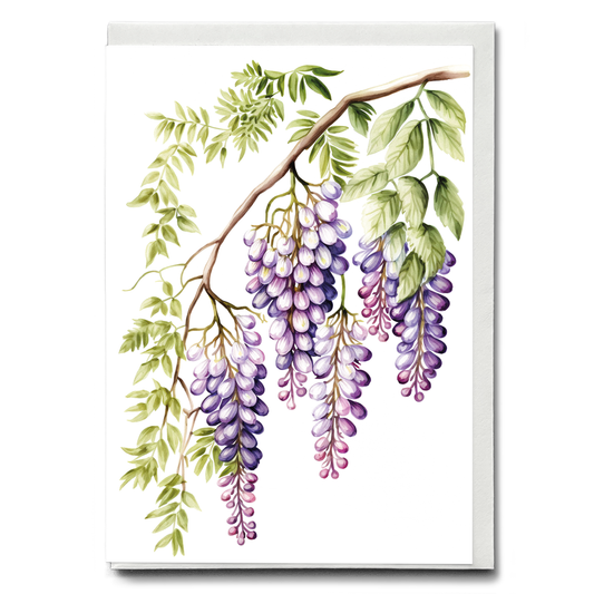 wisteria 1 - Wenskaart