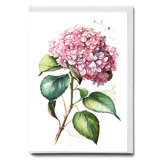 Hydrangea 1 - Wenskaart