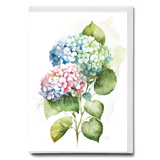 Hydrangea 3 - Wenskaart
