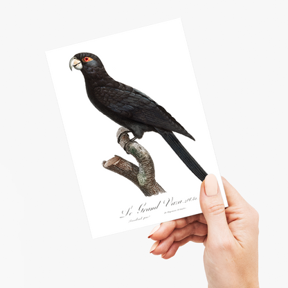 The Greater Vasa Parrot  - Wenskaart