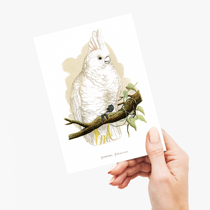 Goffin's Cockatoo - Wenskaart