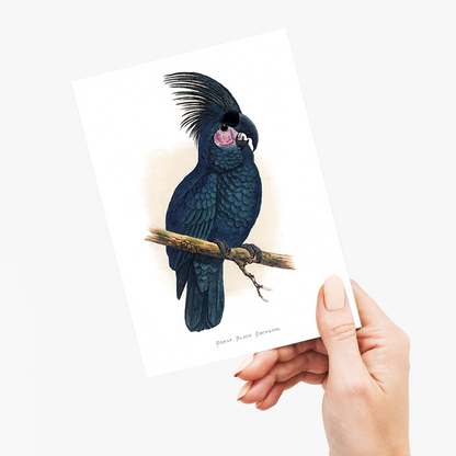 Great Black Cockatoo - Wenskaart