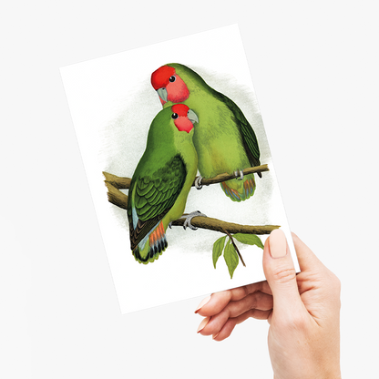 Rosy-Faced Love-Bird - Wenskaart
