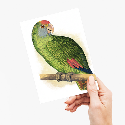 Dufresne's Amazon - Wenskaart
