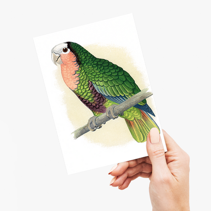 Red-Throated White-Fronted Amazon  - Wenskaart