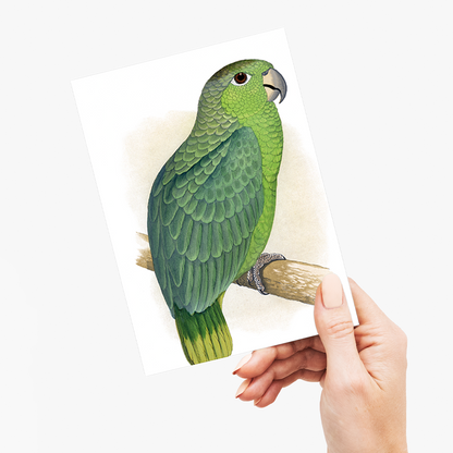 Mealy Amazon - Wenskaart
