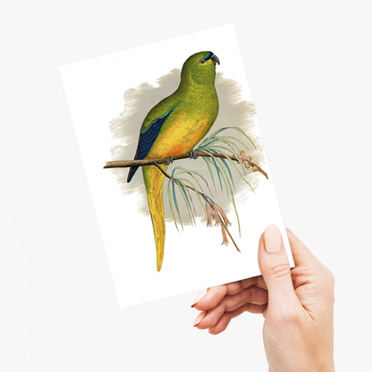 Elegant Parrakeet - Wenskaart