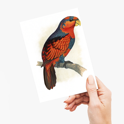Blue-Crowned or Blue-Breasted Lory  - Wenskaart