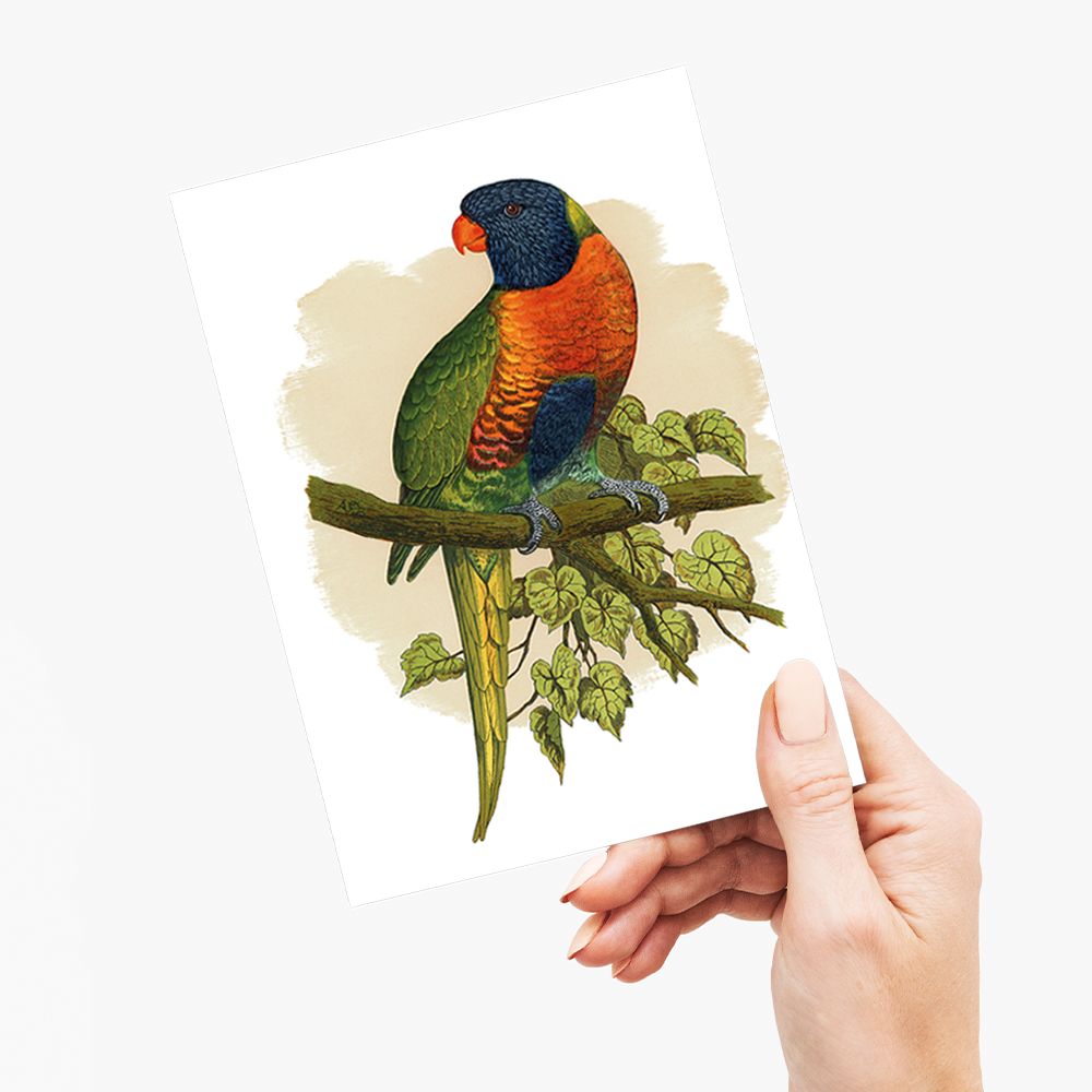 Blue Mountain Lory - Wenskaart