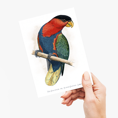 Tri-Coloured or Black-Capped Lory  - Wenskaart