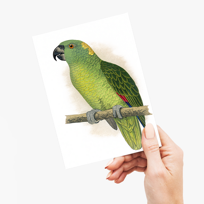 Yellow-Naped Amazon - Wenskaart
