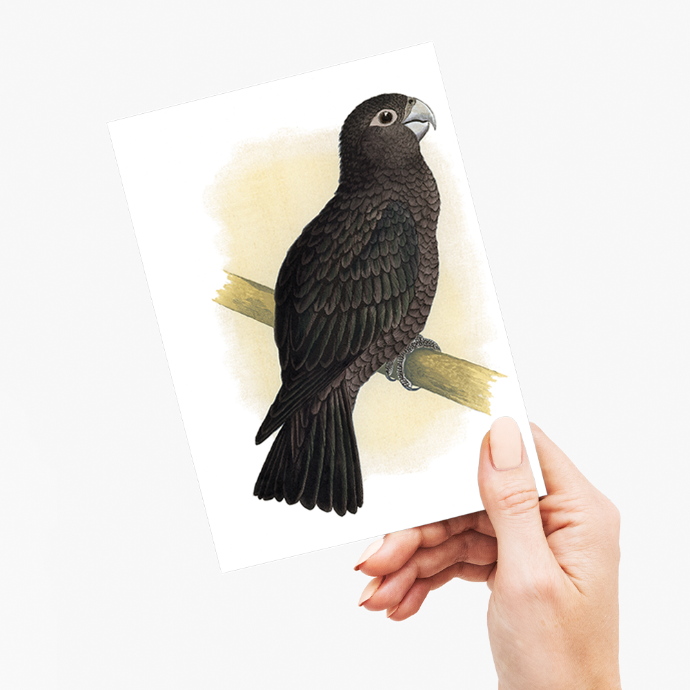 Vasa Parrot - Wenskaart