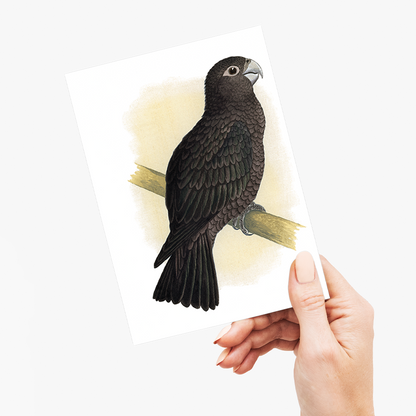 Vasa Parrot - Wenskaart