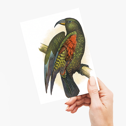 Mountain Parrot - Wenskaart
