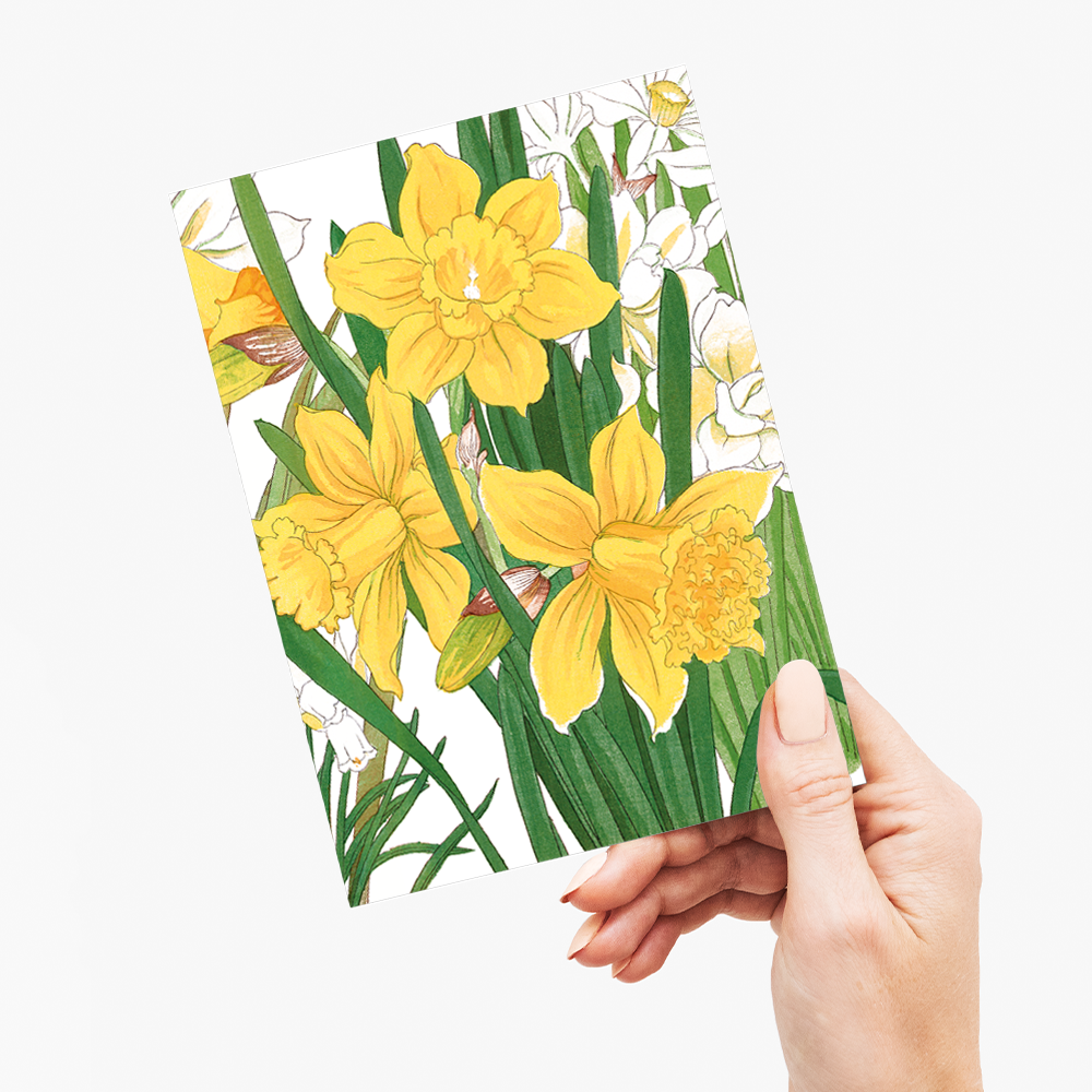 Daffodil By Tanigami Kônan - Wenskaart