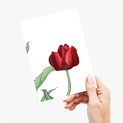 Red Tulip By Tanigami Kônan - Wenskaart